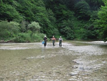 River biological survey