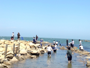 新川漁港周辺での海洋生物実習