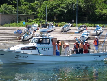 Marine life survey using a research vessel in Sado Tassya Bay