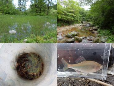 生物多様性・生態系復元研究室